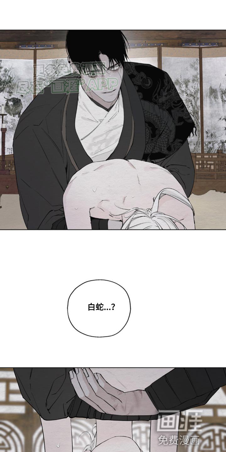 第14章：昏迷