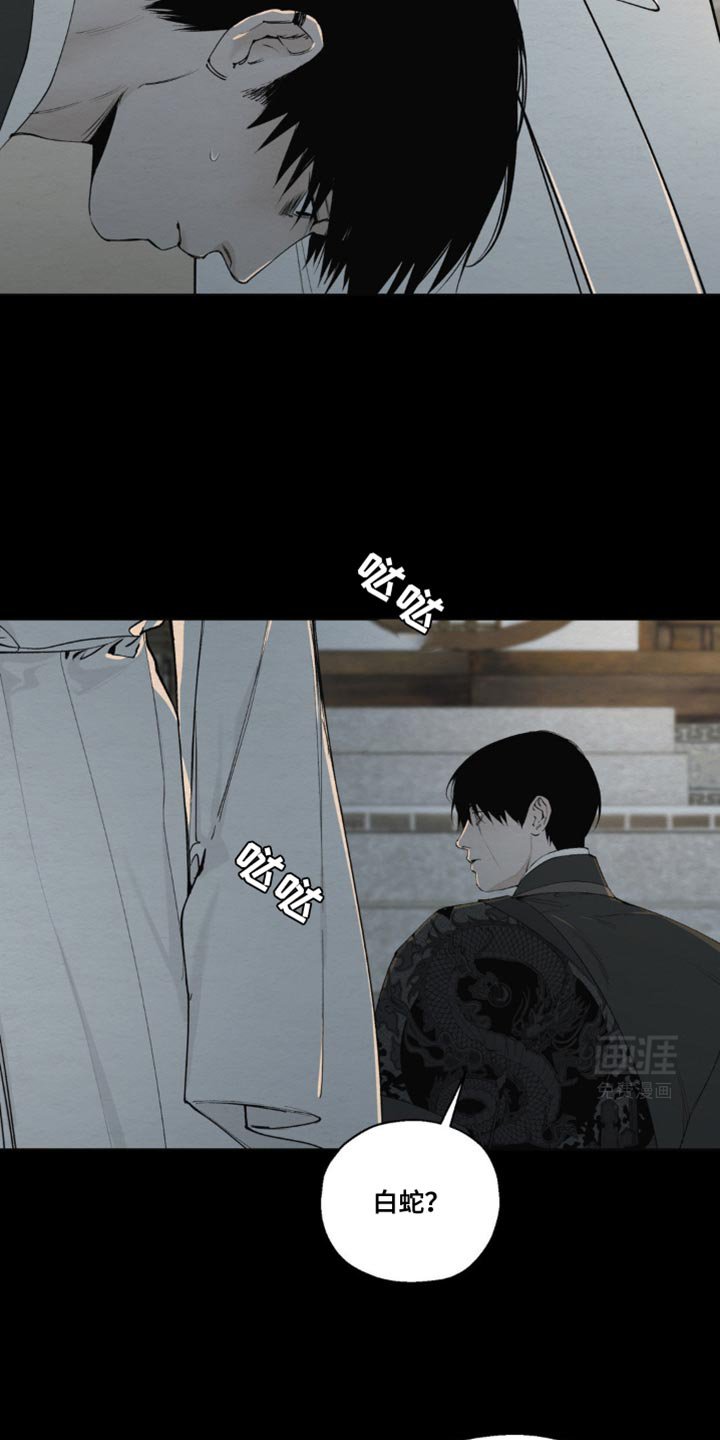 第17章：不会愈合了