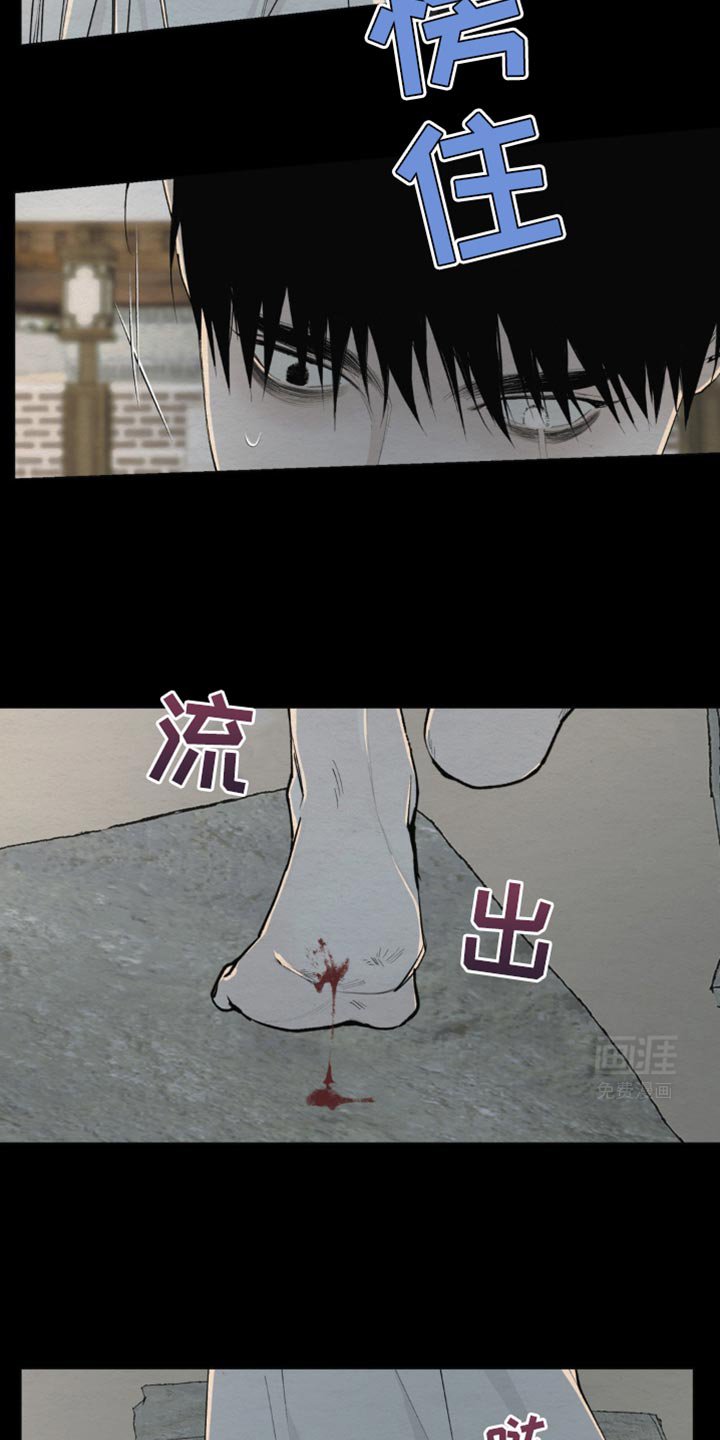 第17章：不会愈合了