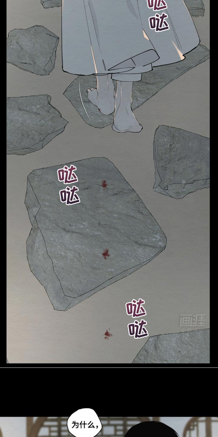 第17章：不会愈合了