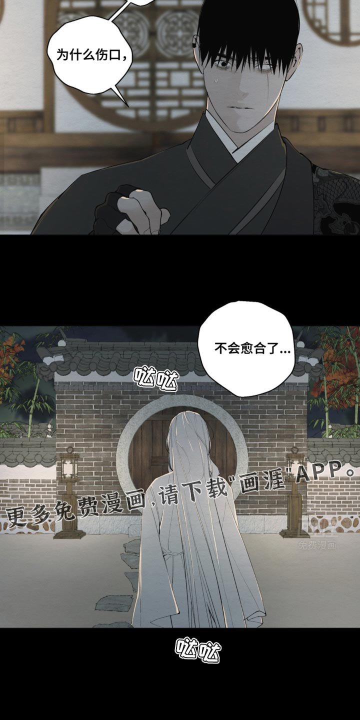 第17章：不会愈合了