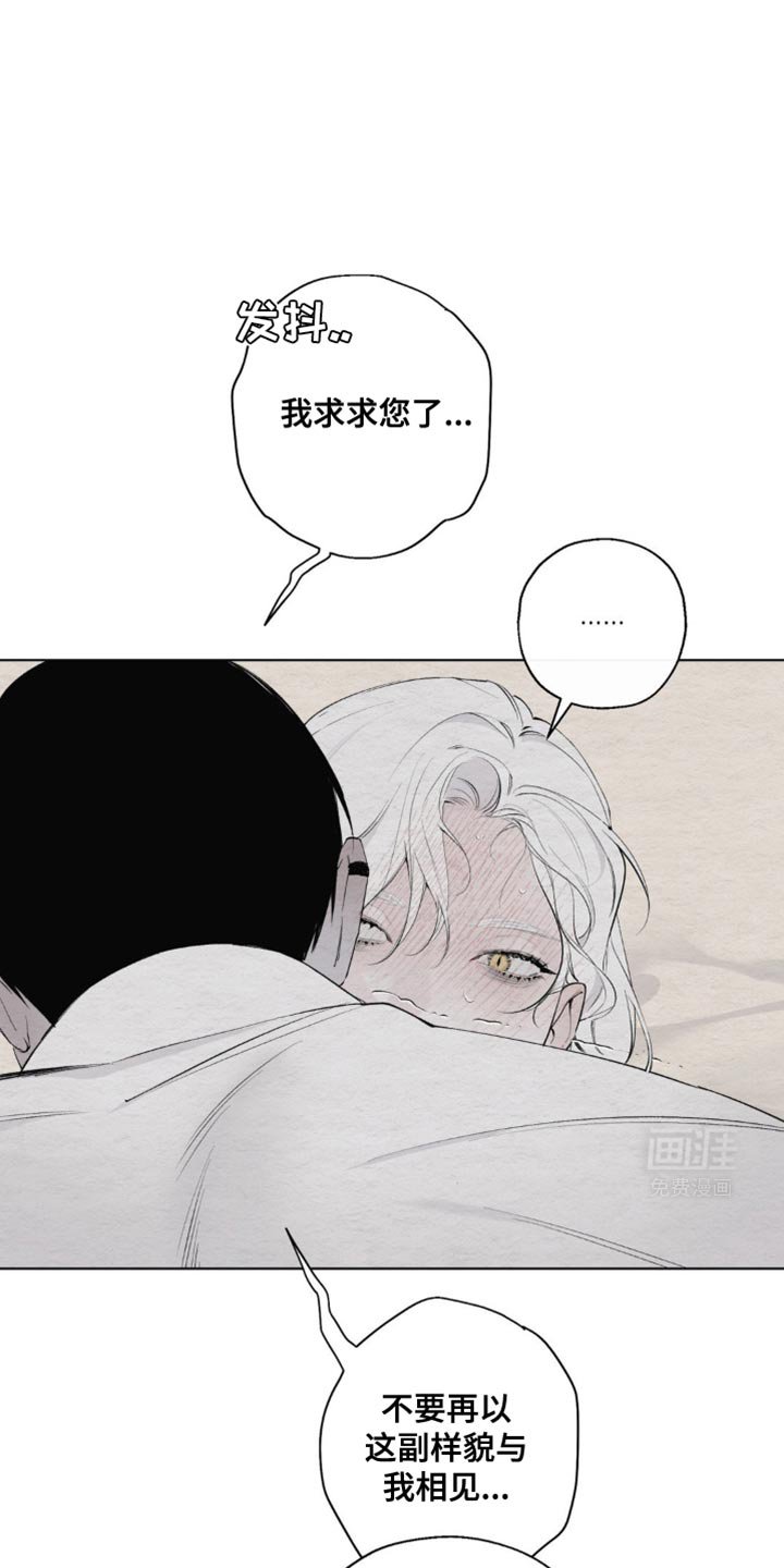 第24章：我只可怜你一回