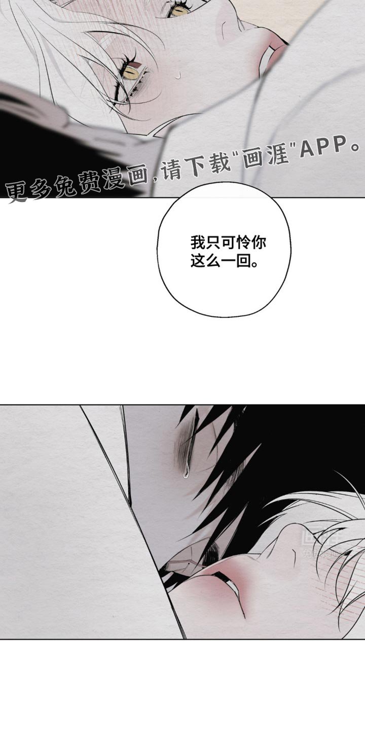 第24章：我只可怜你一回