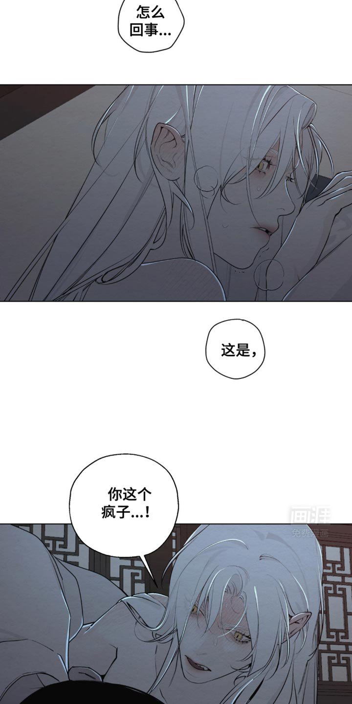 第25章：你为何要这般对我