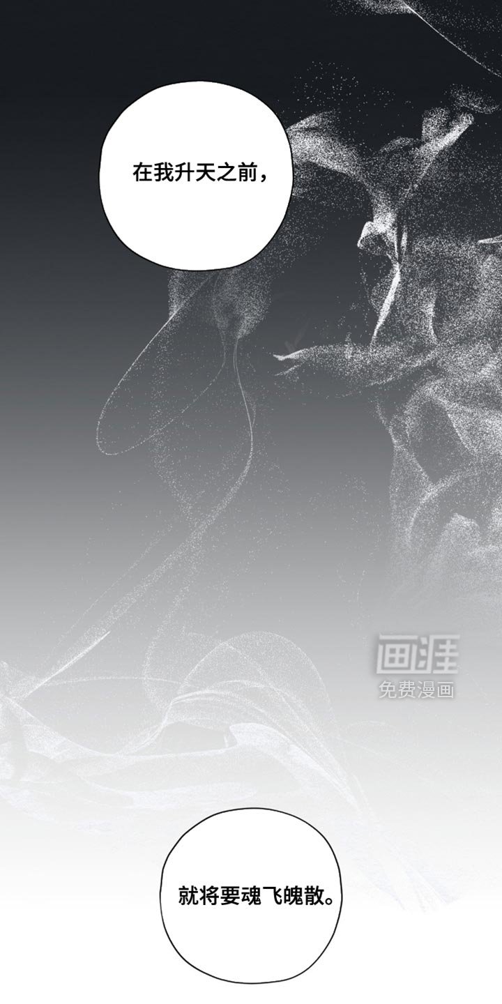 第49章：魂体合一