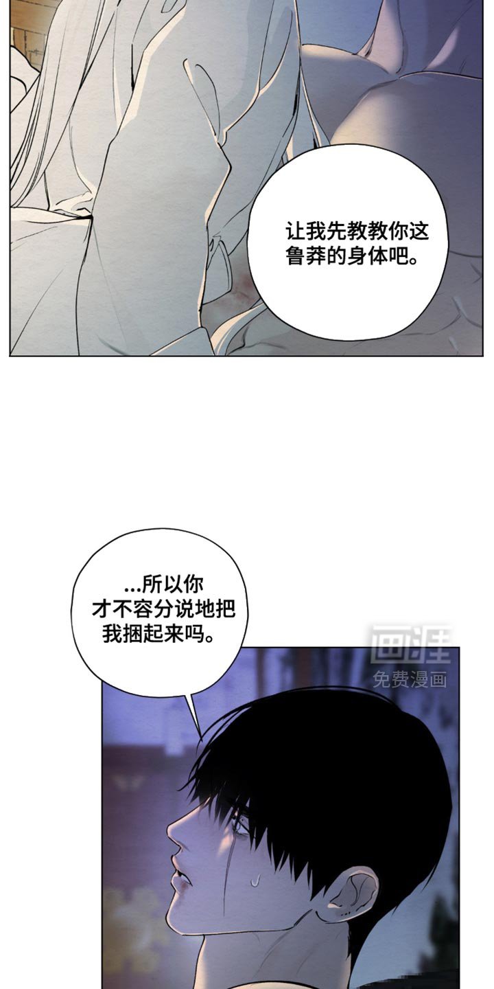 第50章：提前教育