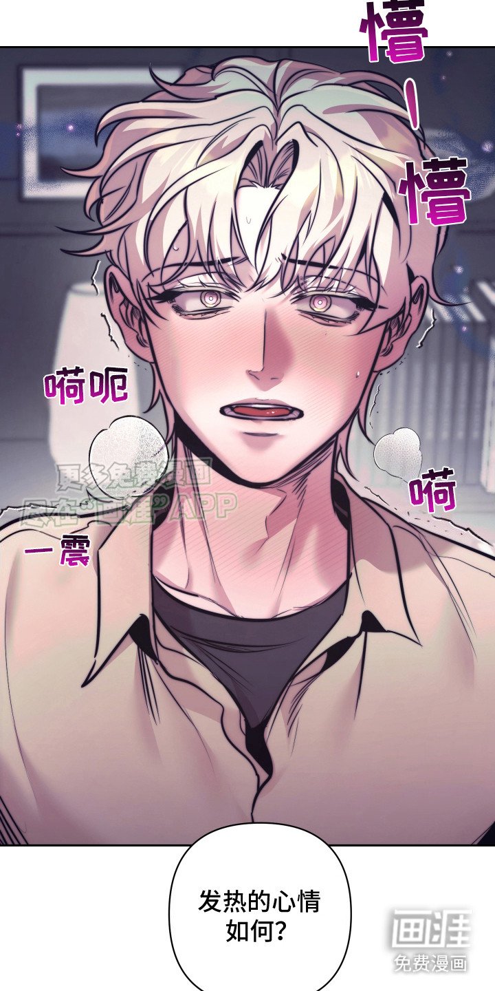 第11章：久违了