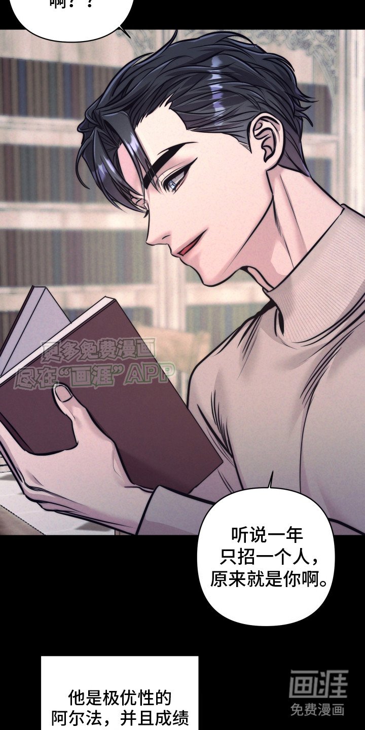 第12章：相遇那天