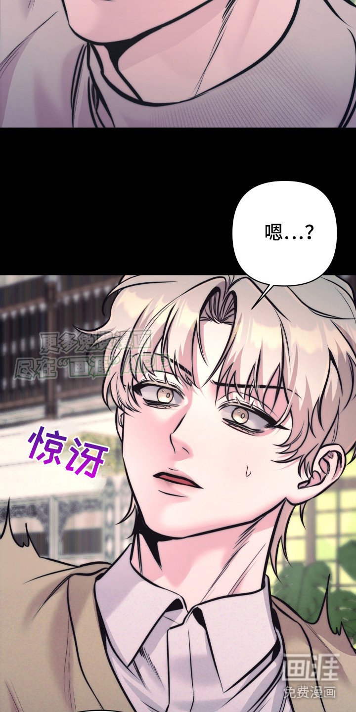 第12章：相遇那天