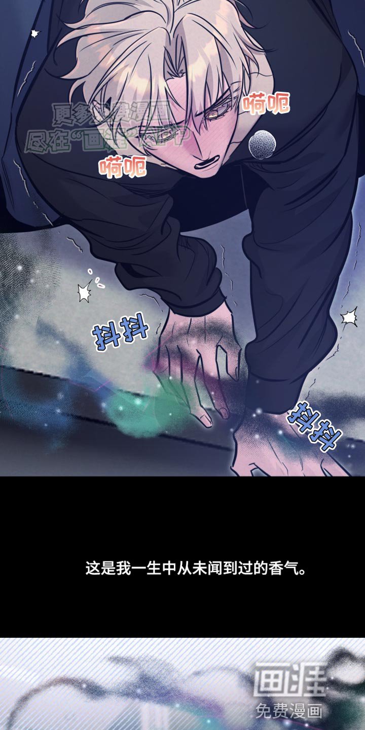 第17章：巨大的悲剧