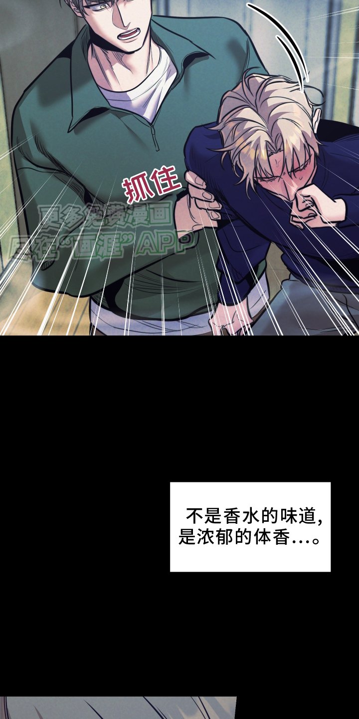 第18章：检查