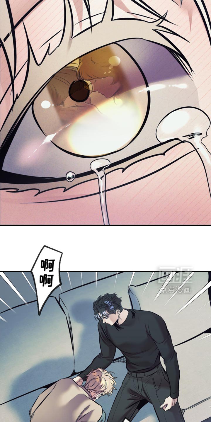 第54章：【第二季】悲伤