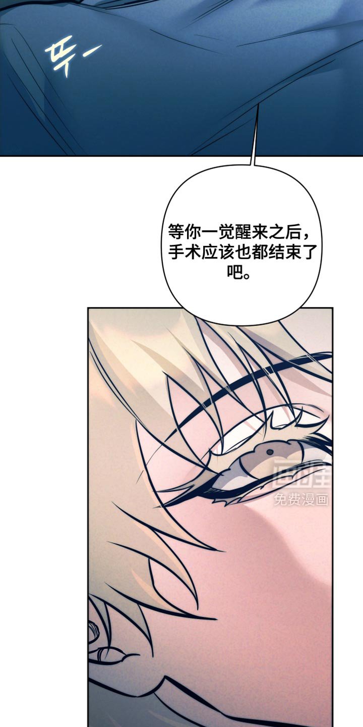 第77章：【第二季】手术的代价