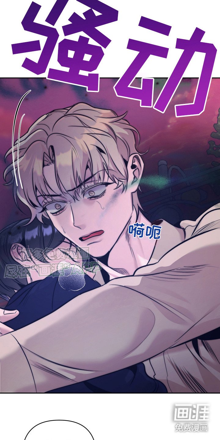 第8章：信息素