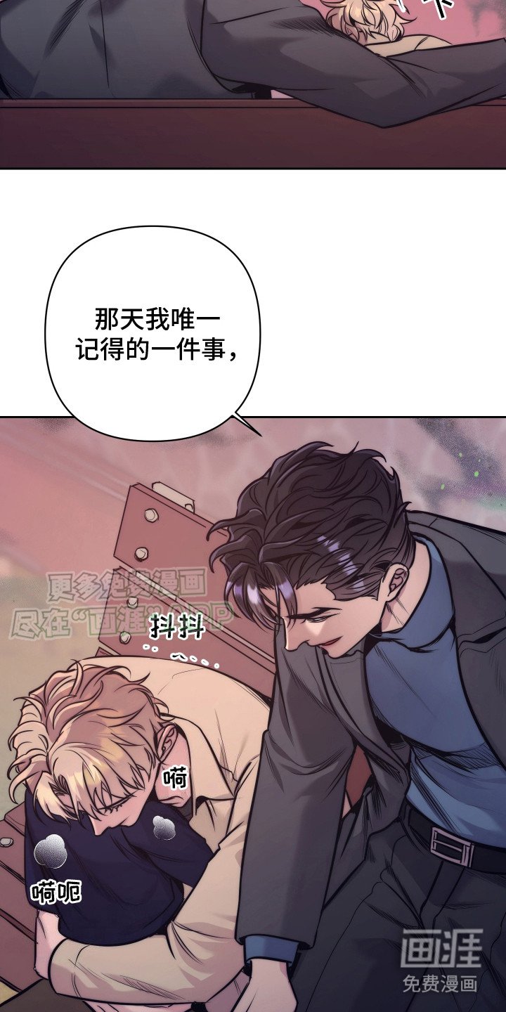第8章：信息素
