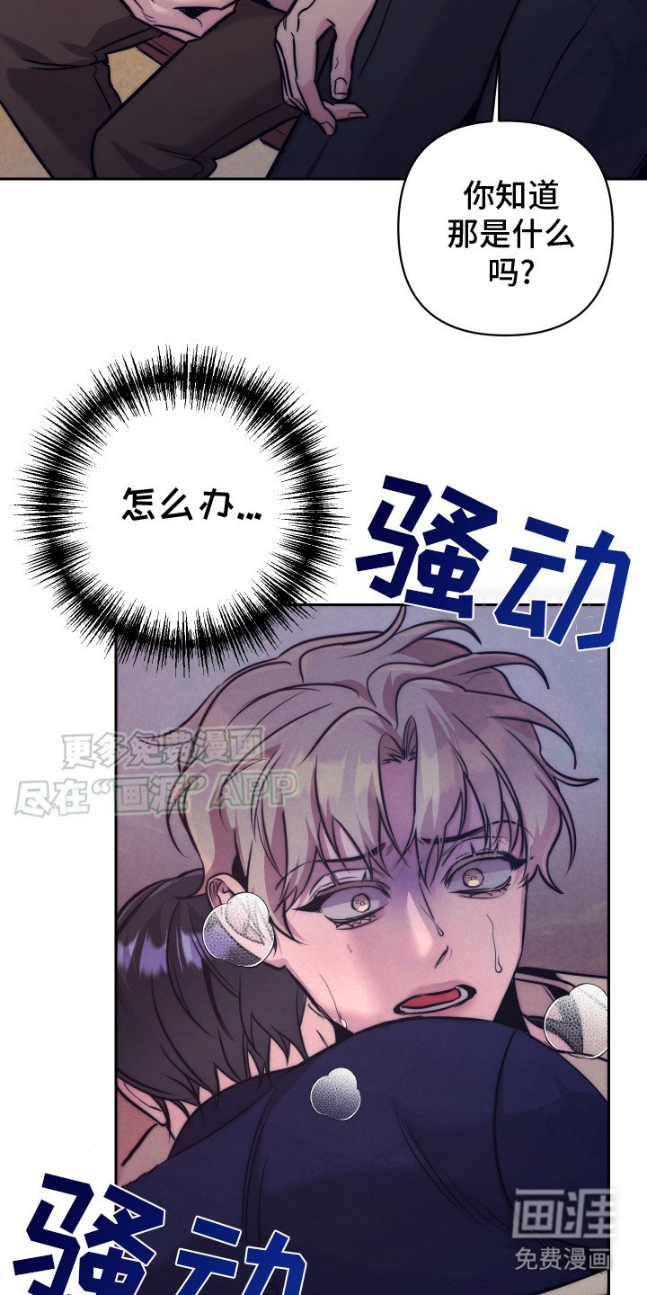 第8章：信息素