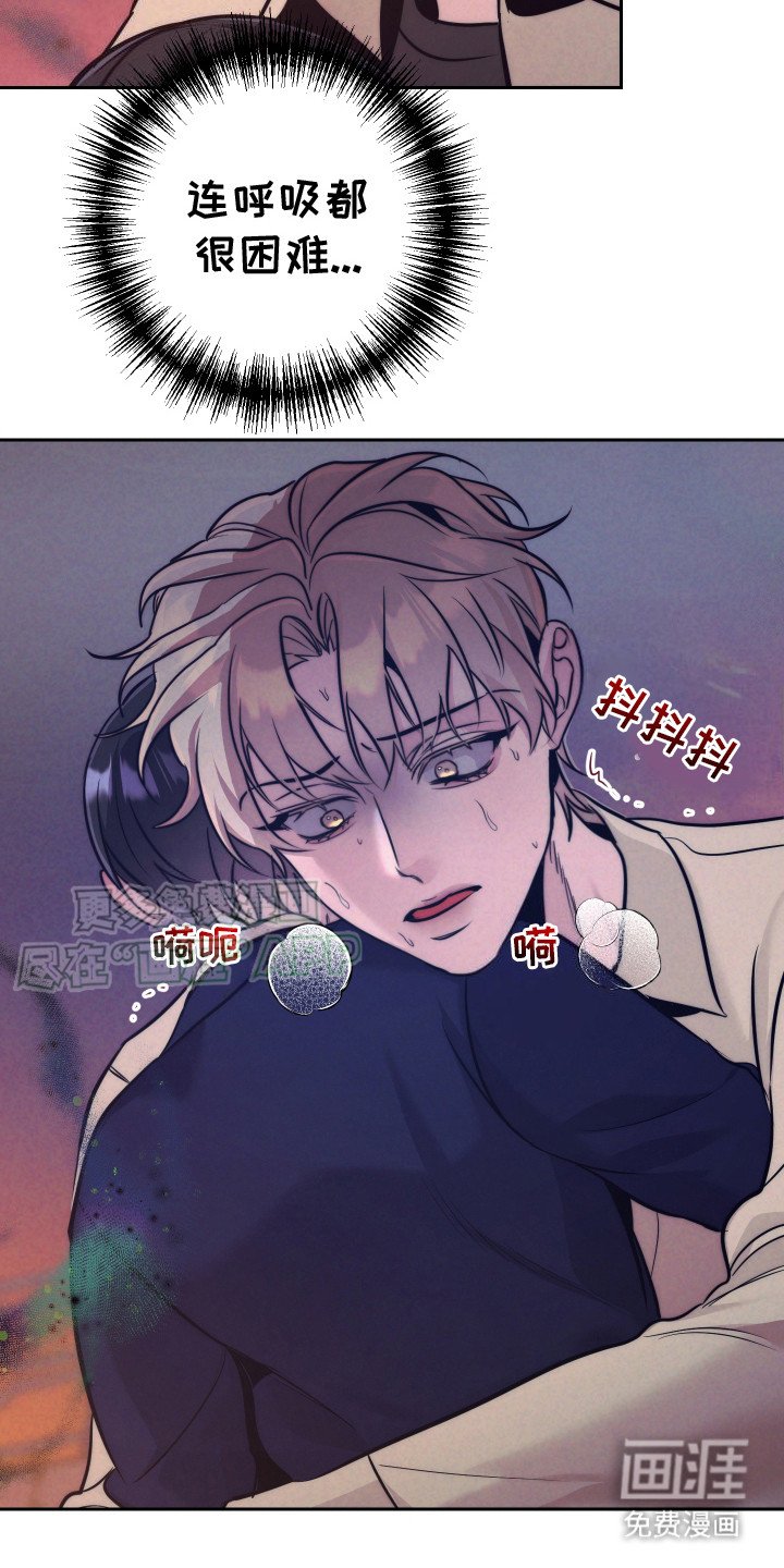 第8章：信息素