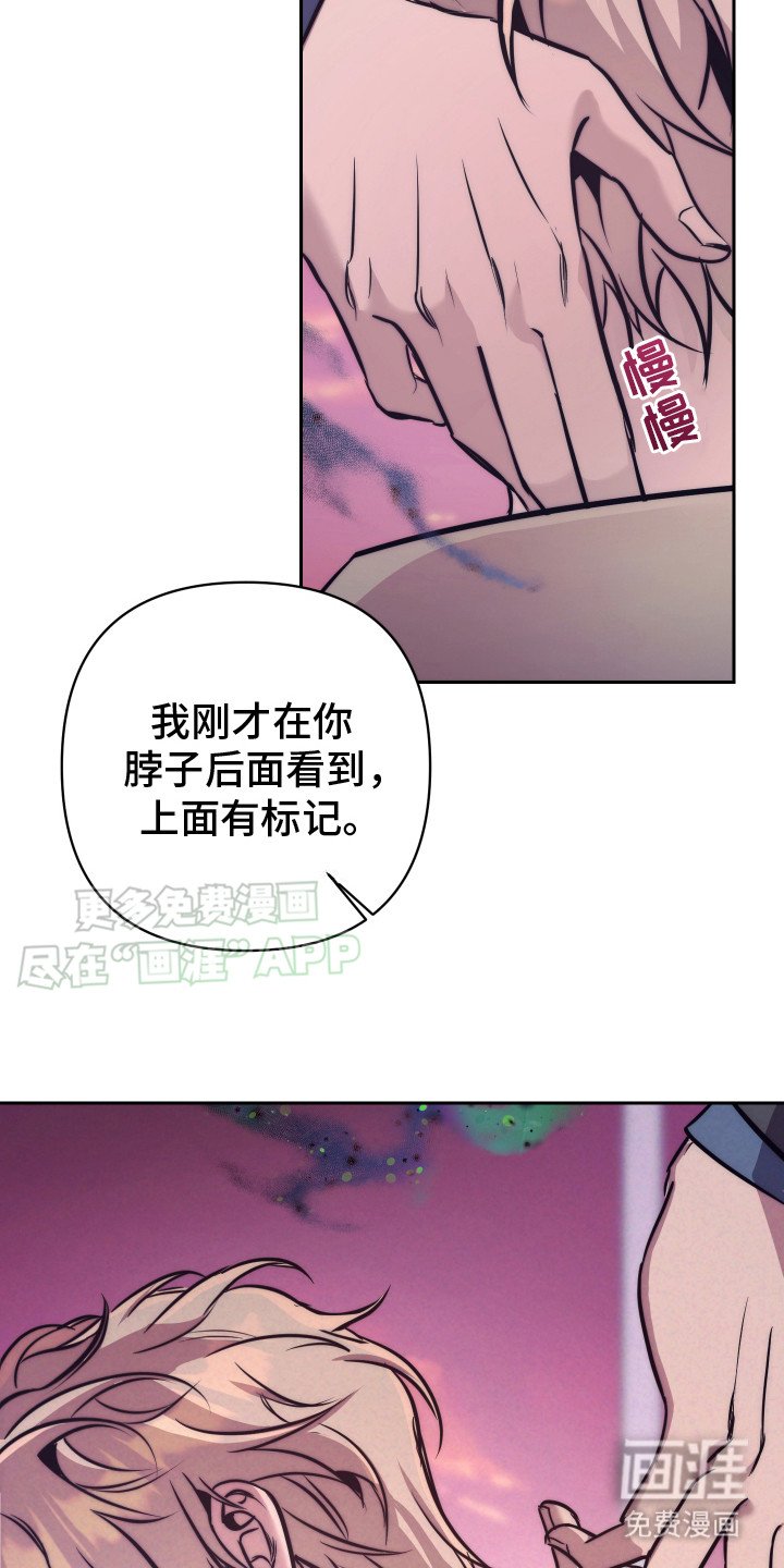 第8章：信息素