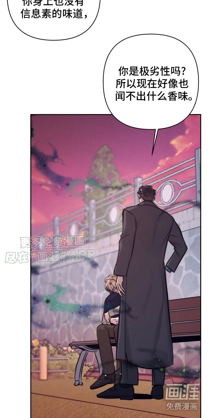 第8章：信息素