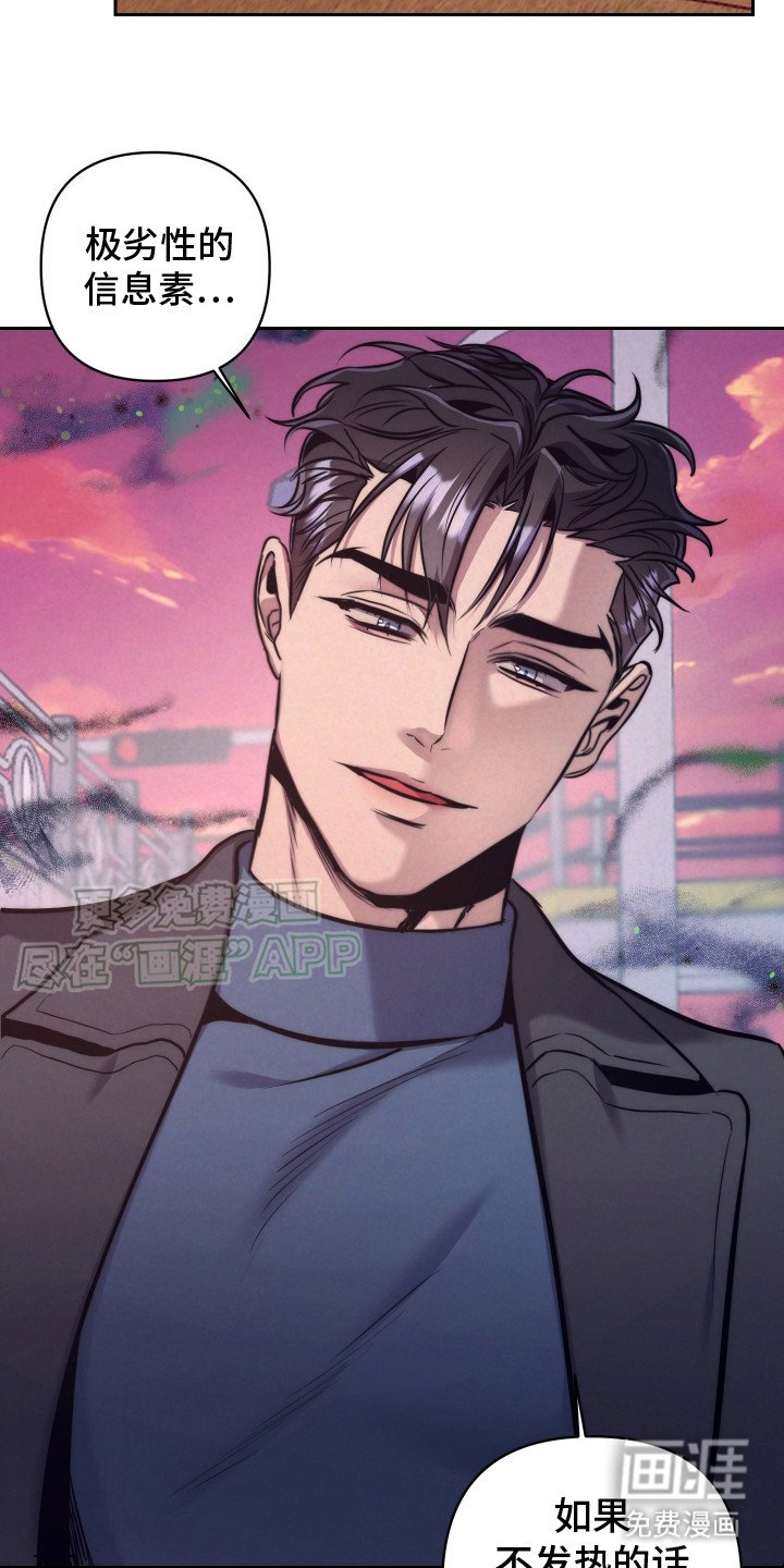 第8章：信息素