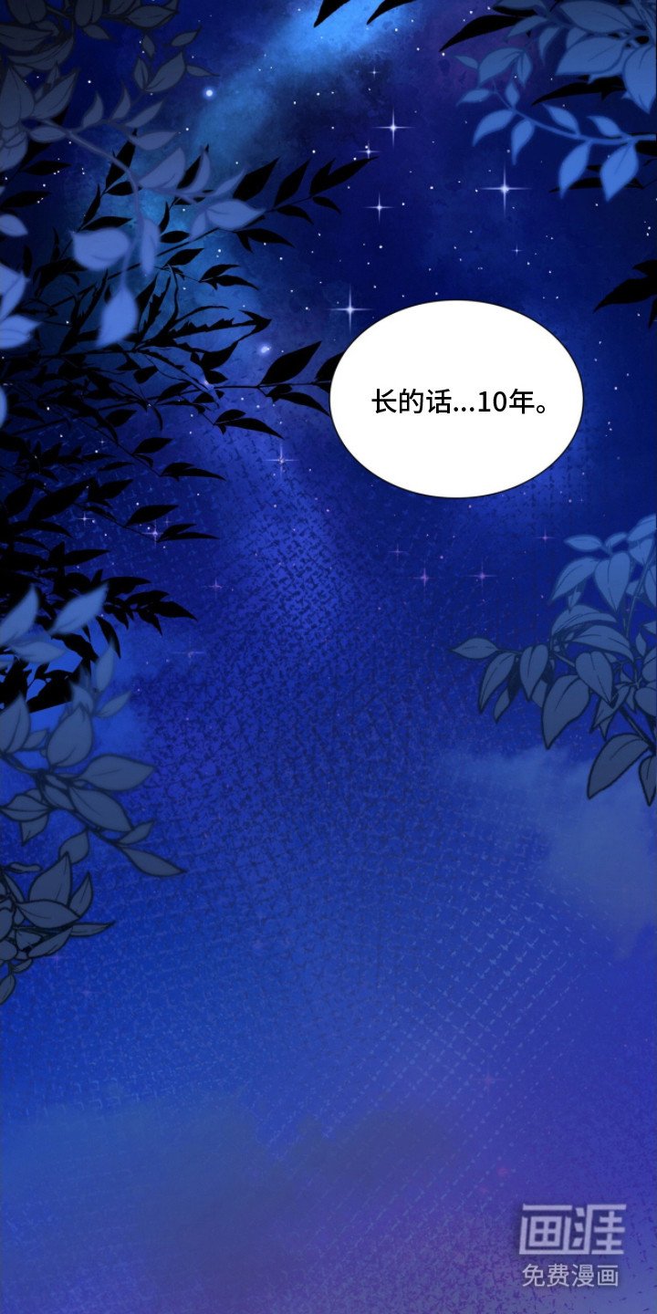 第14章：孤独的背影