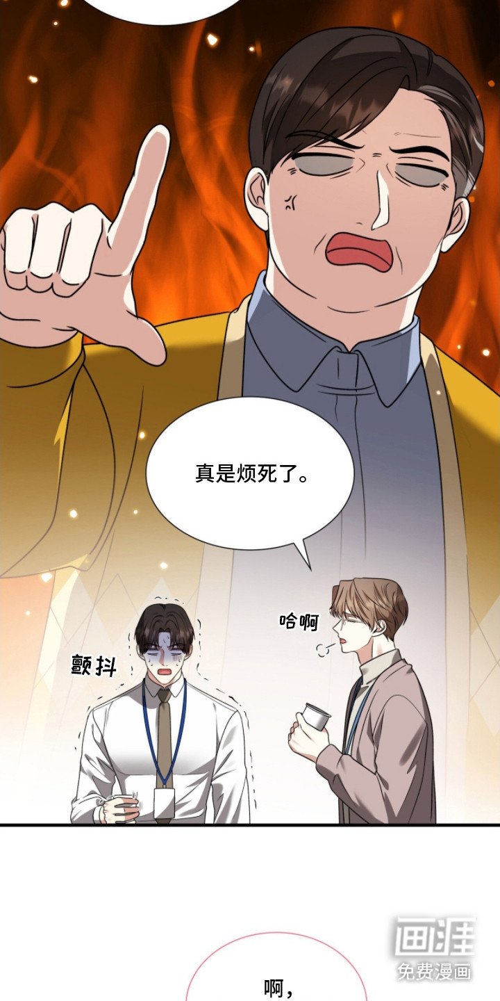 第19章：合作项目