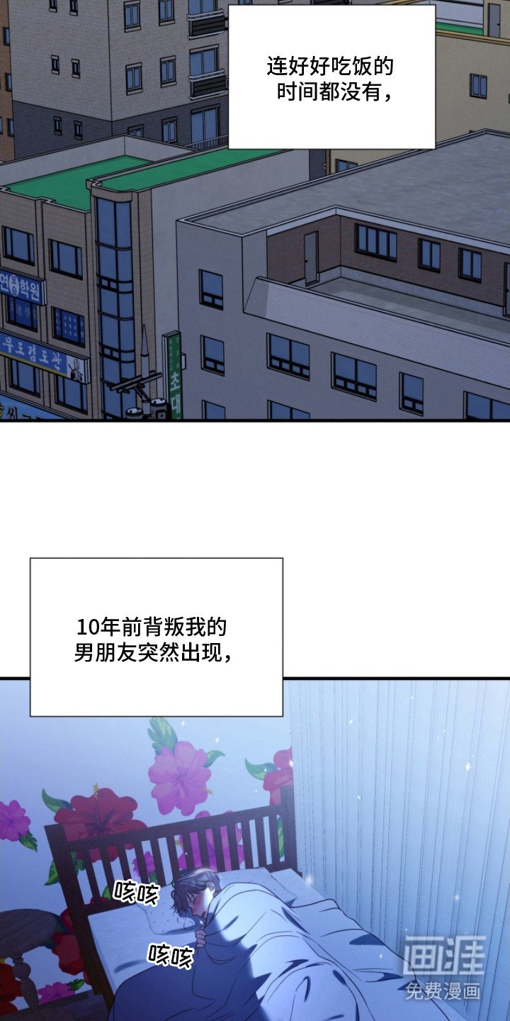 第21章：重逢