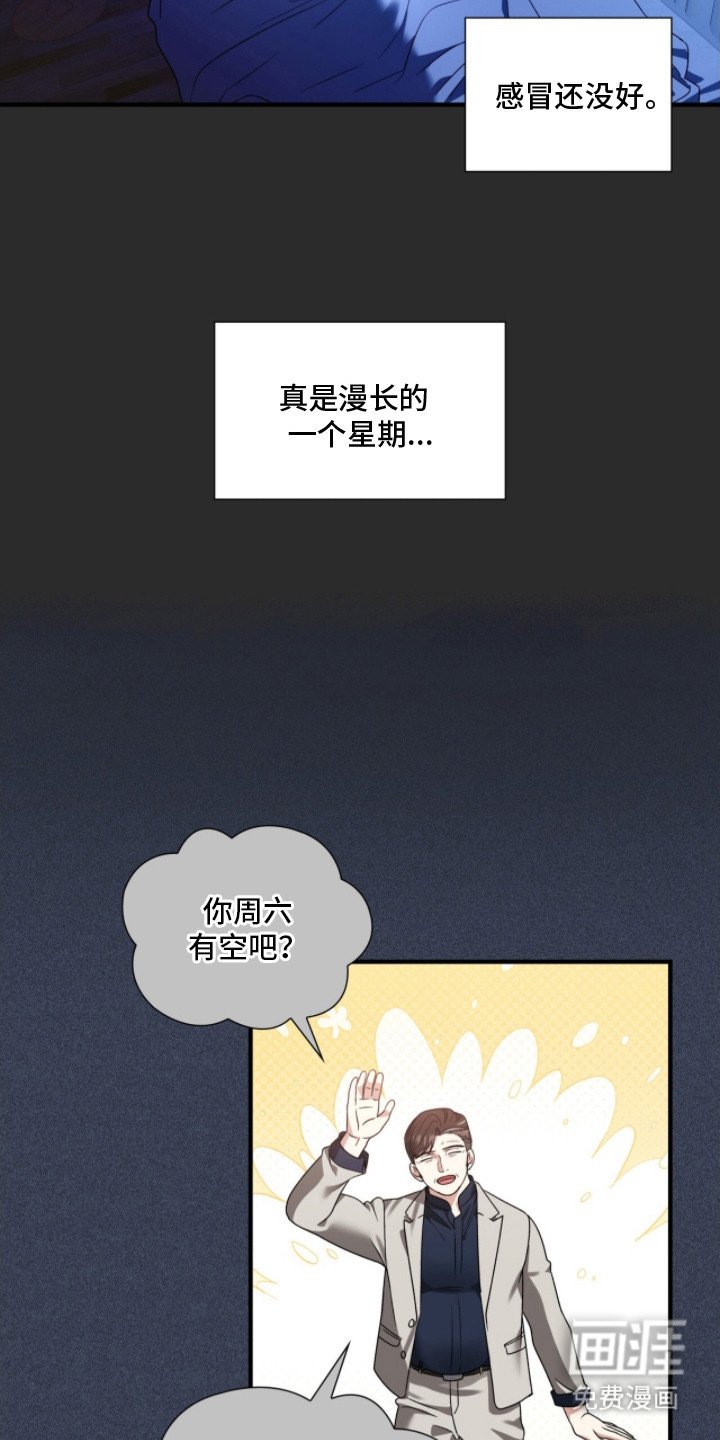 第21章：重逢