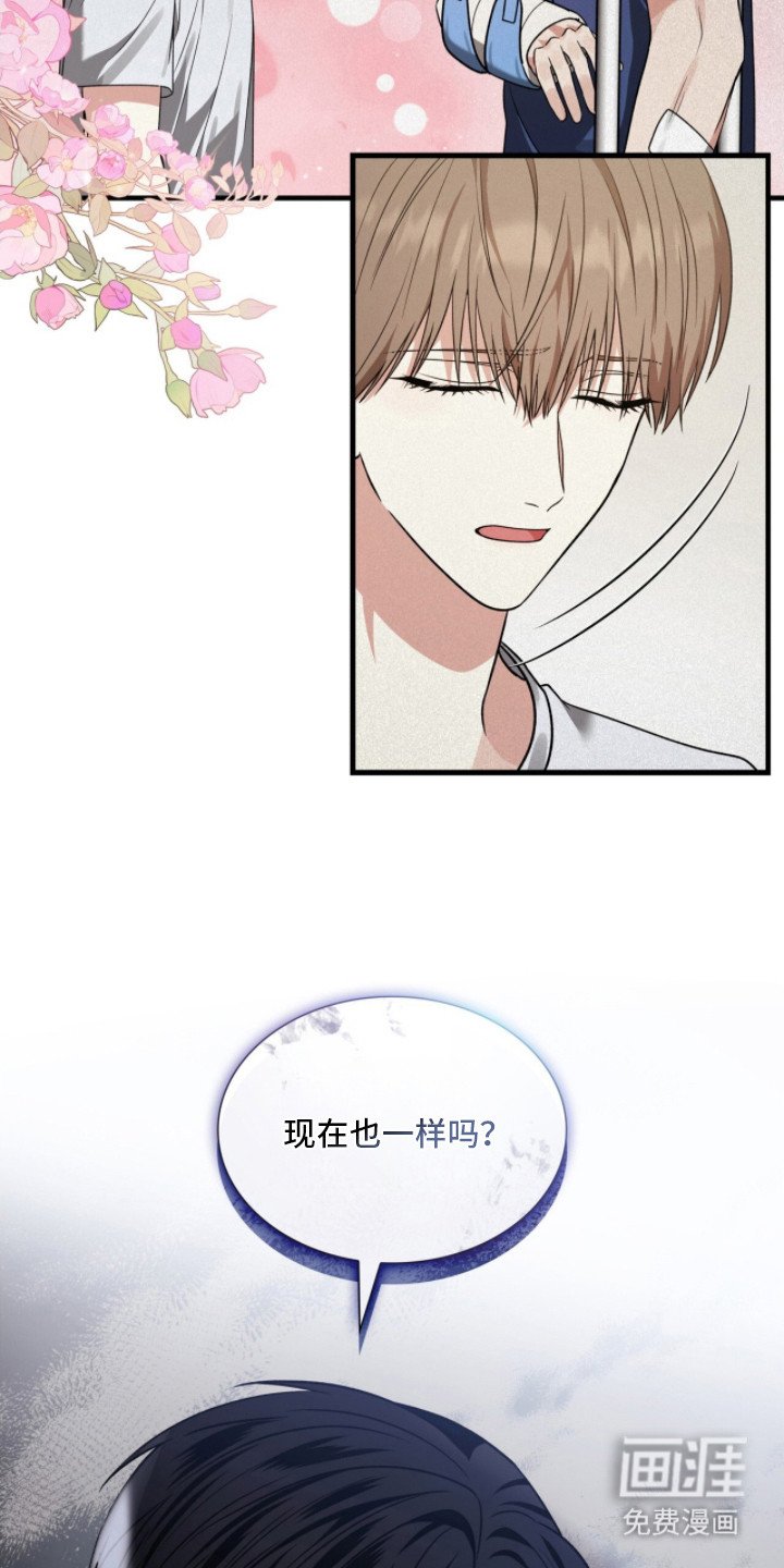 第29章：下次吧
