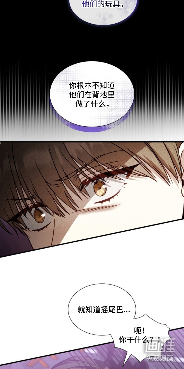 第5章：说错话