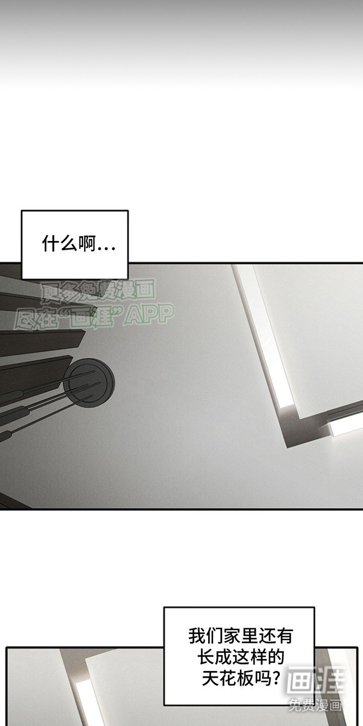 第12章：带回家