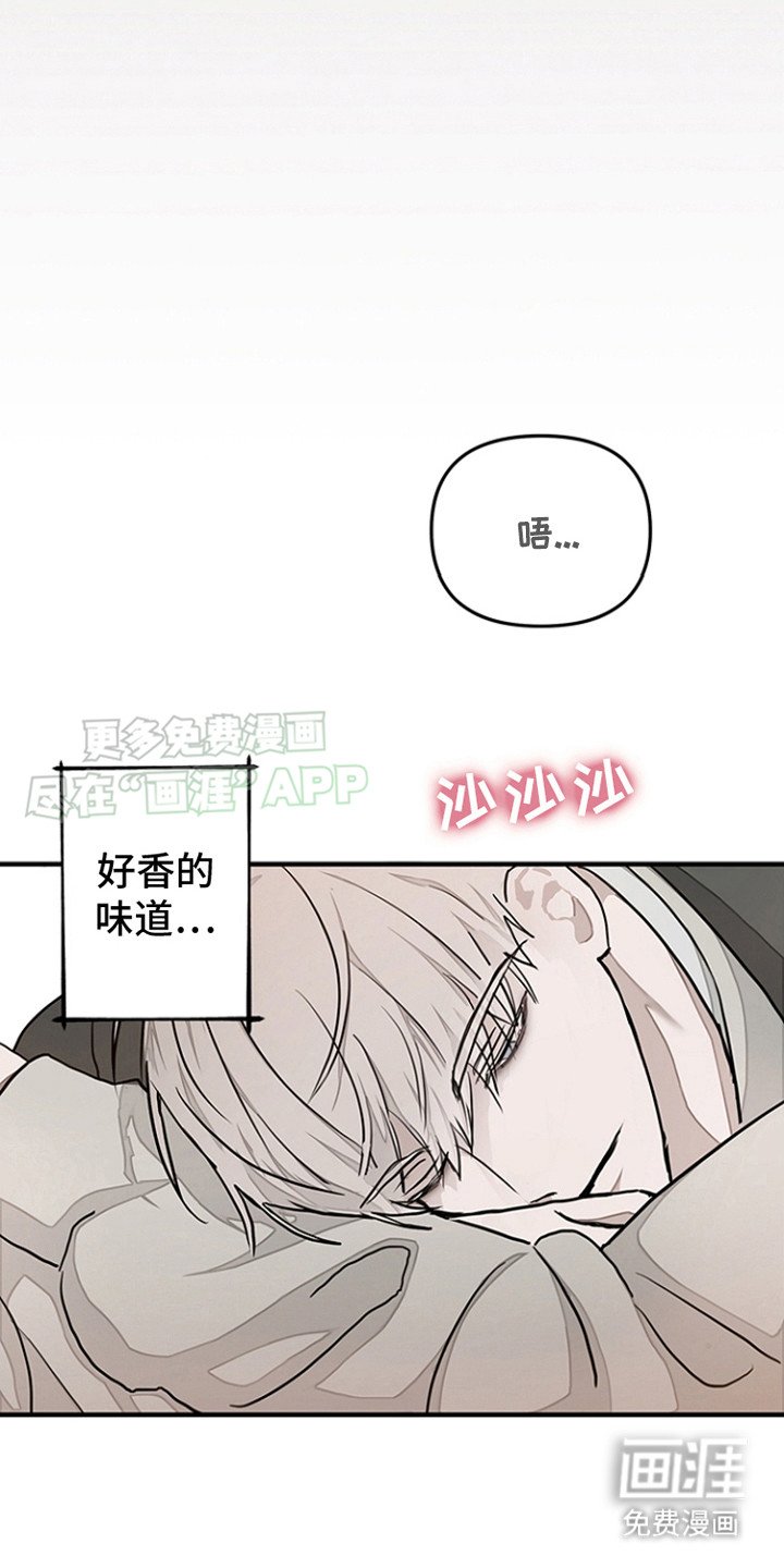 第16章：态度转变