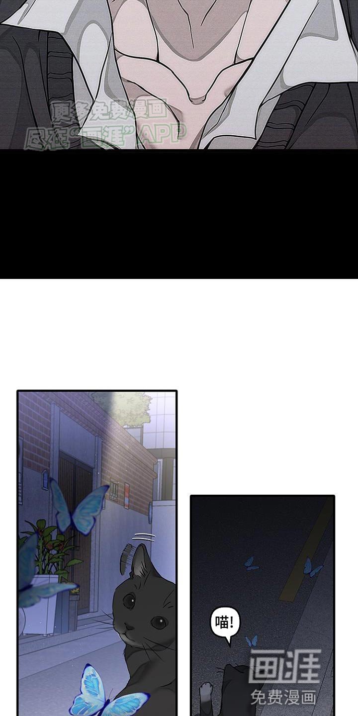 第24章：刚刚开始