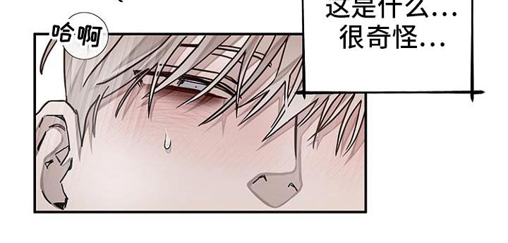 第39章：交易