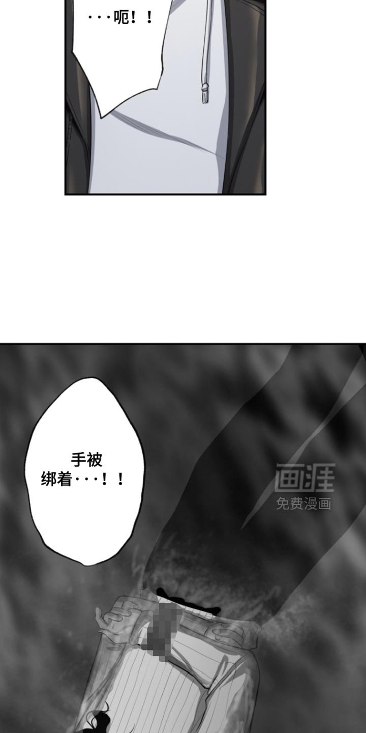 第67章：不能完全放心