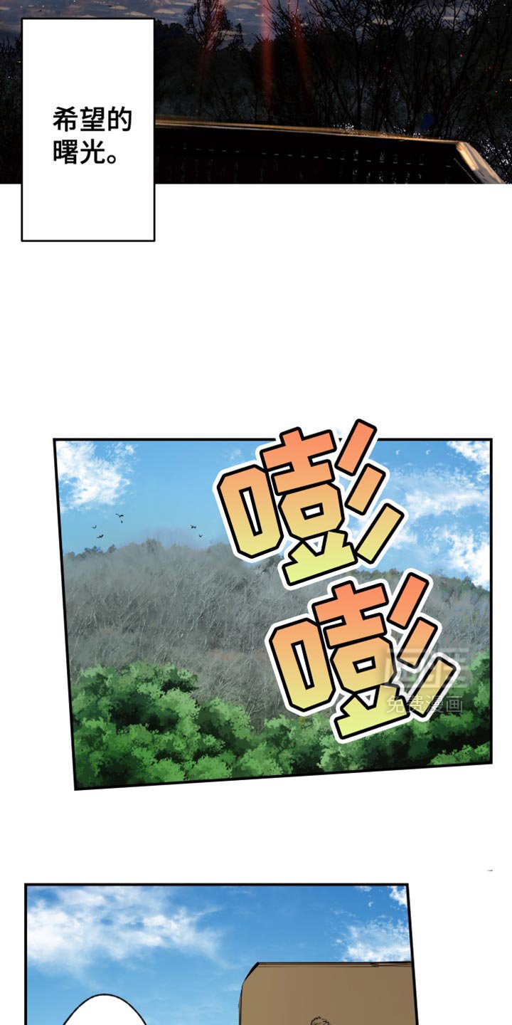 第71章：希望的曙光