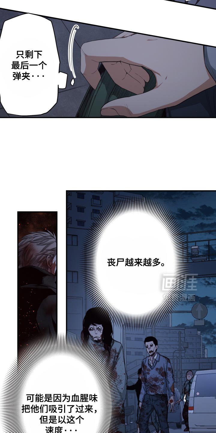 第83章：菜市场一样