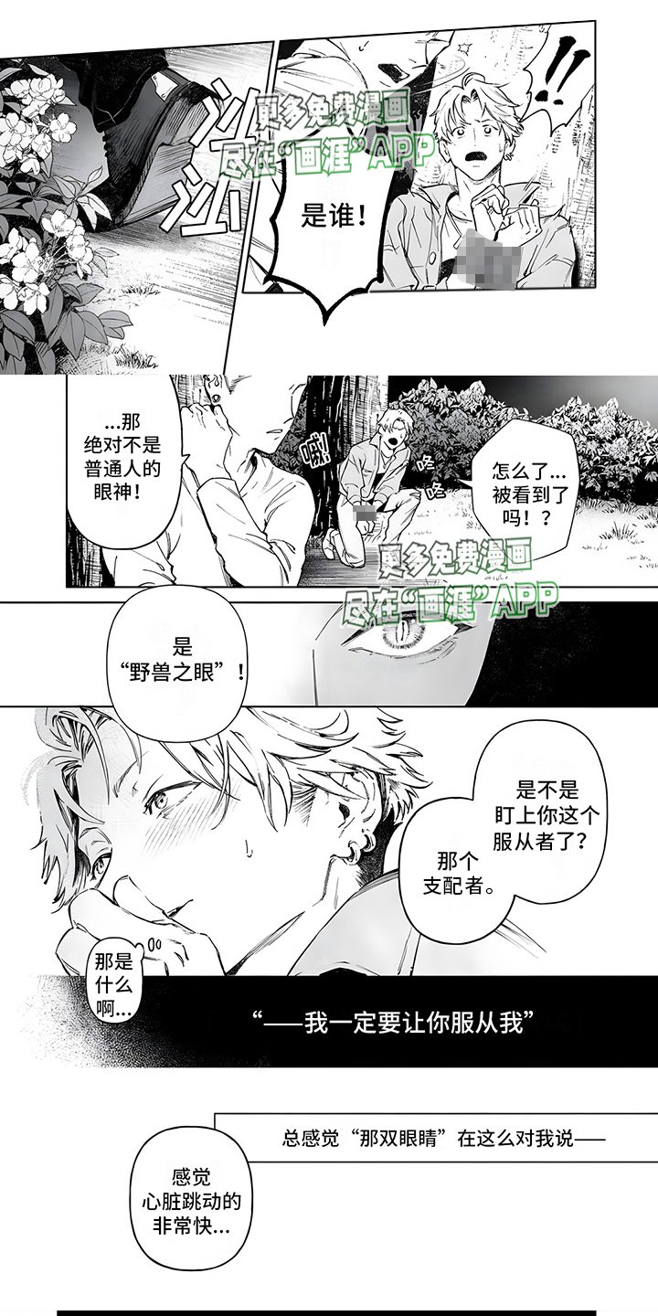第1章：注定的朋友