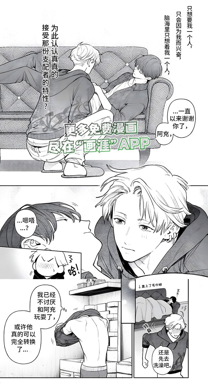 第13章：特征弱化