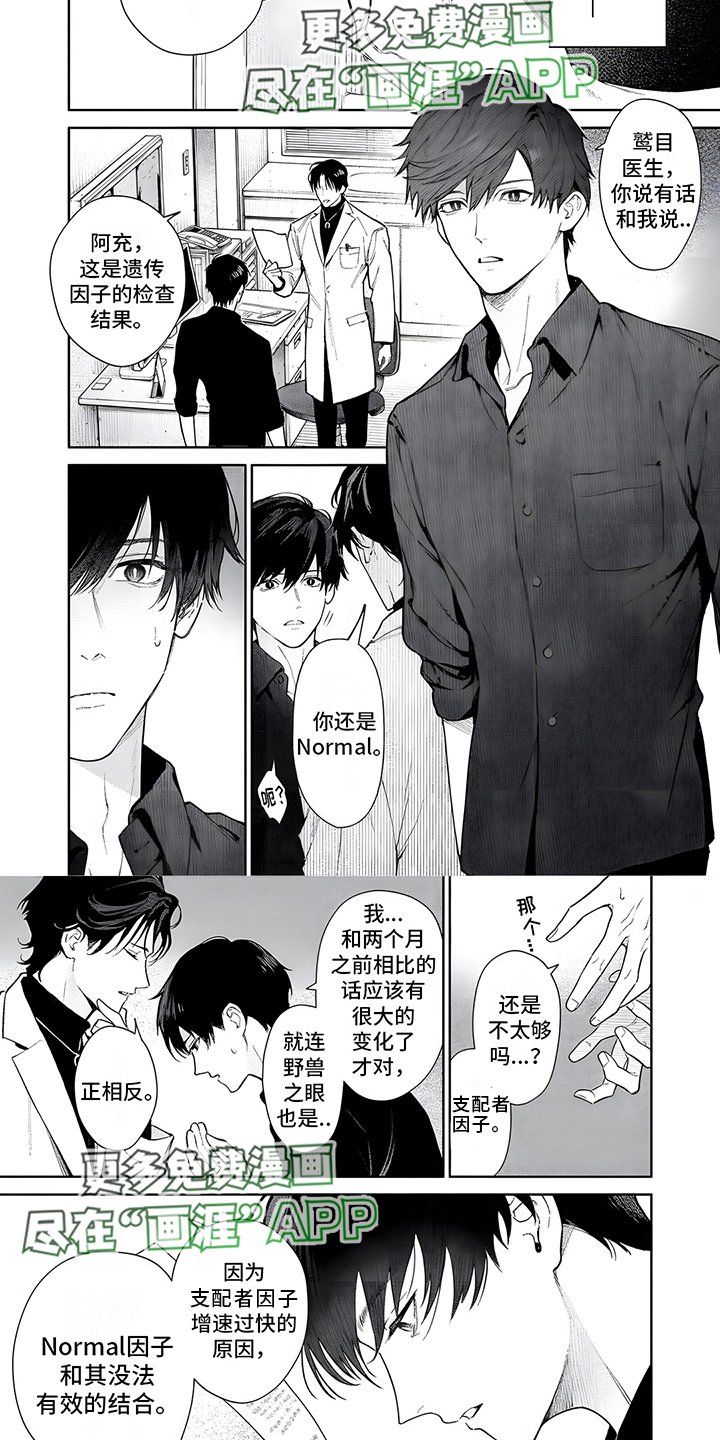 第13章：特征弱化