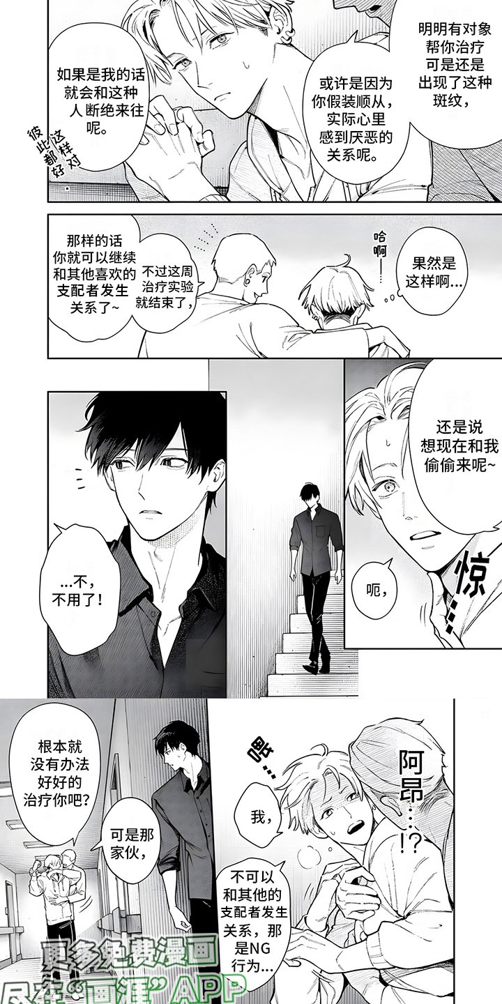 第15章：纠结