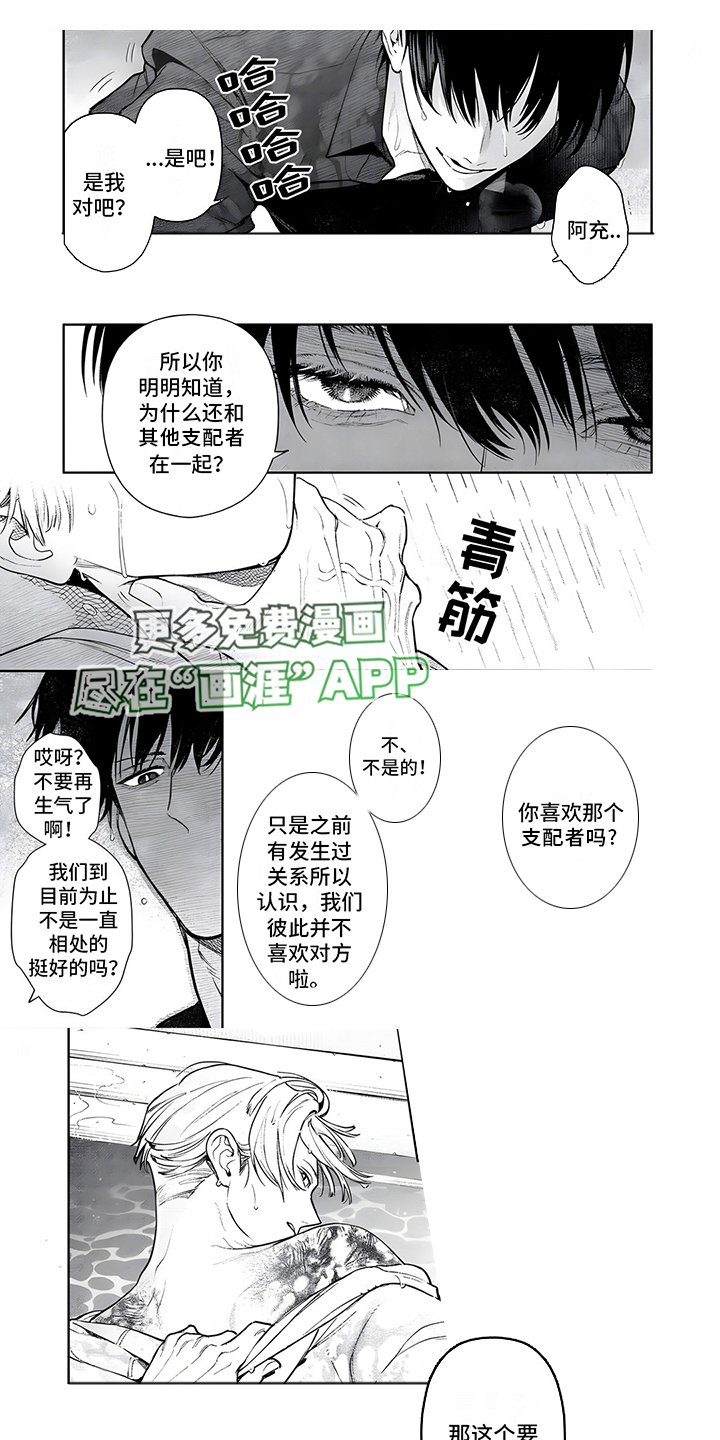 第17章：斑纹