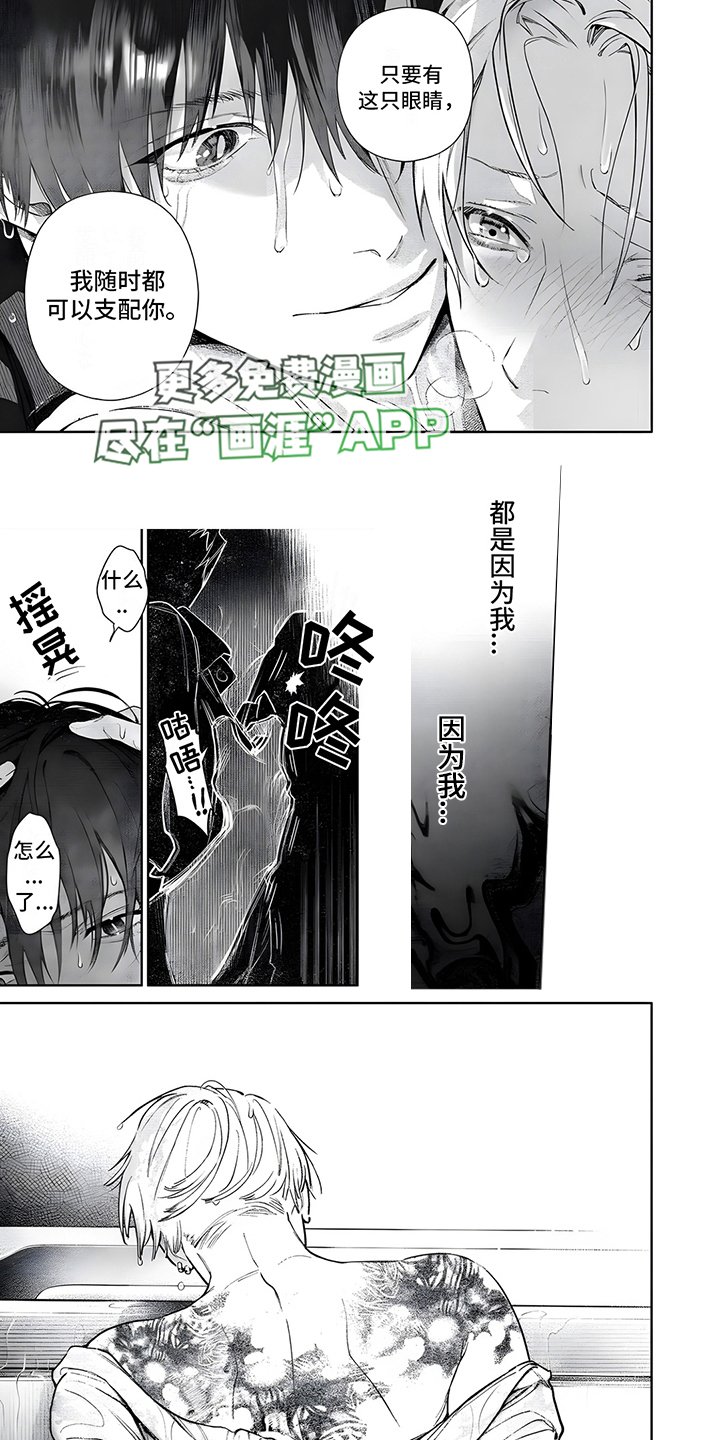 第17章：斑纹