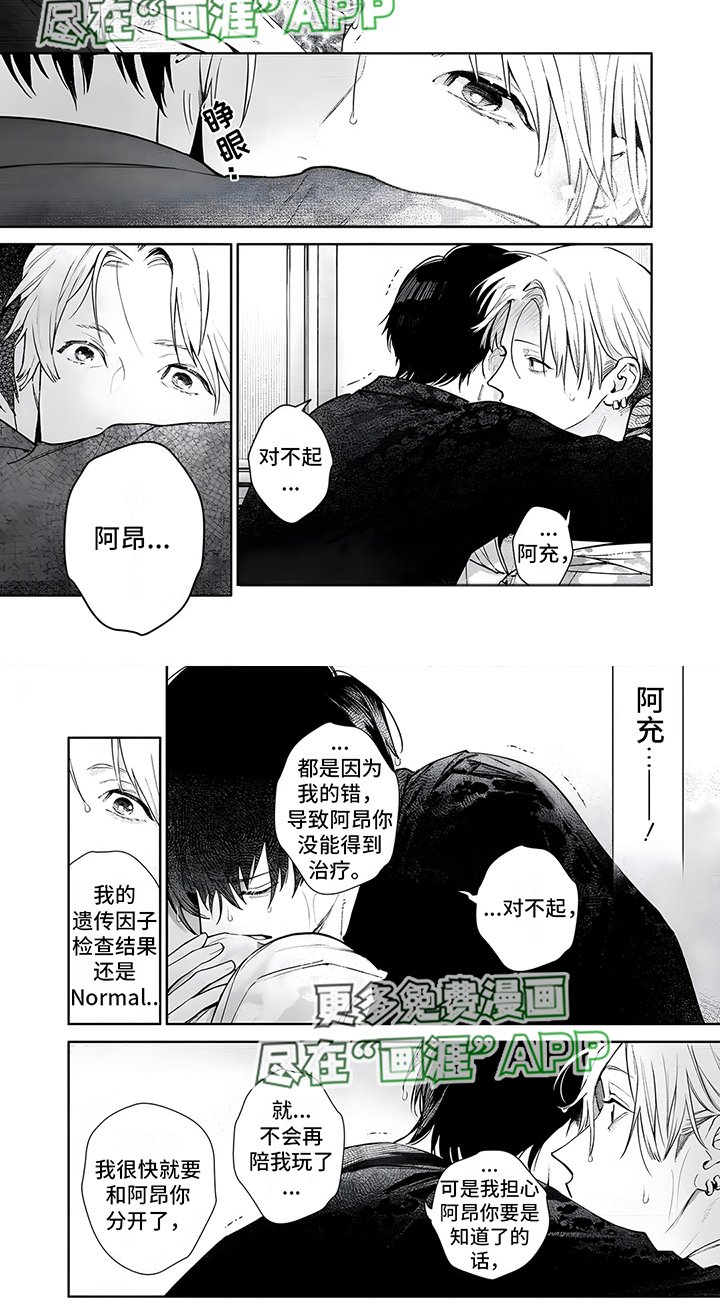 第17章：斑纹