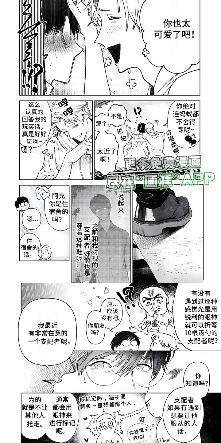 第2章：很在意