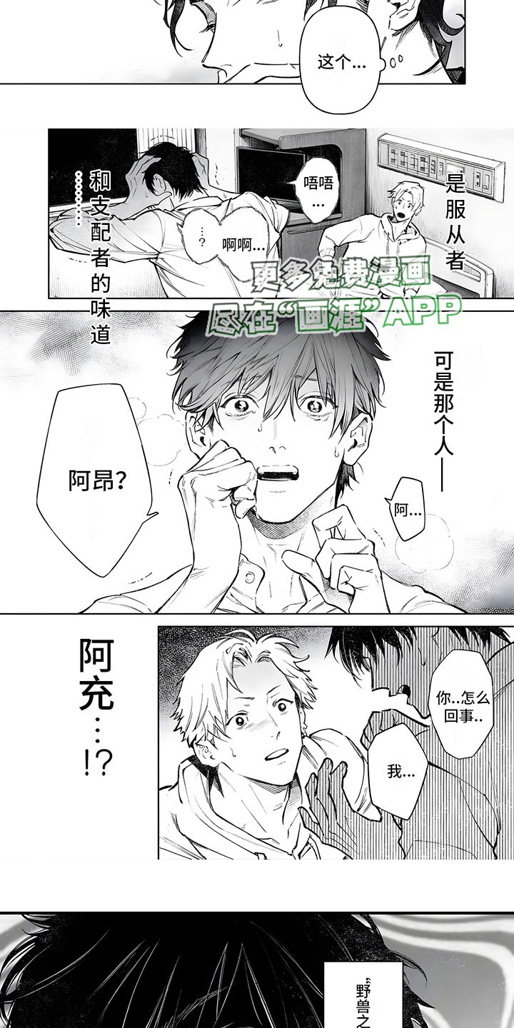第4章：罕见情况