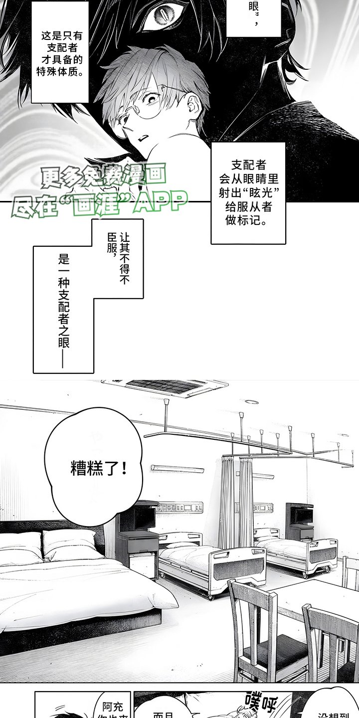 第4章：罕见情况