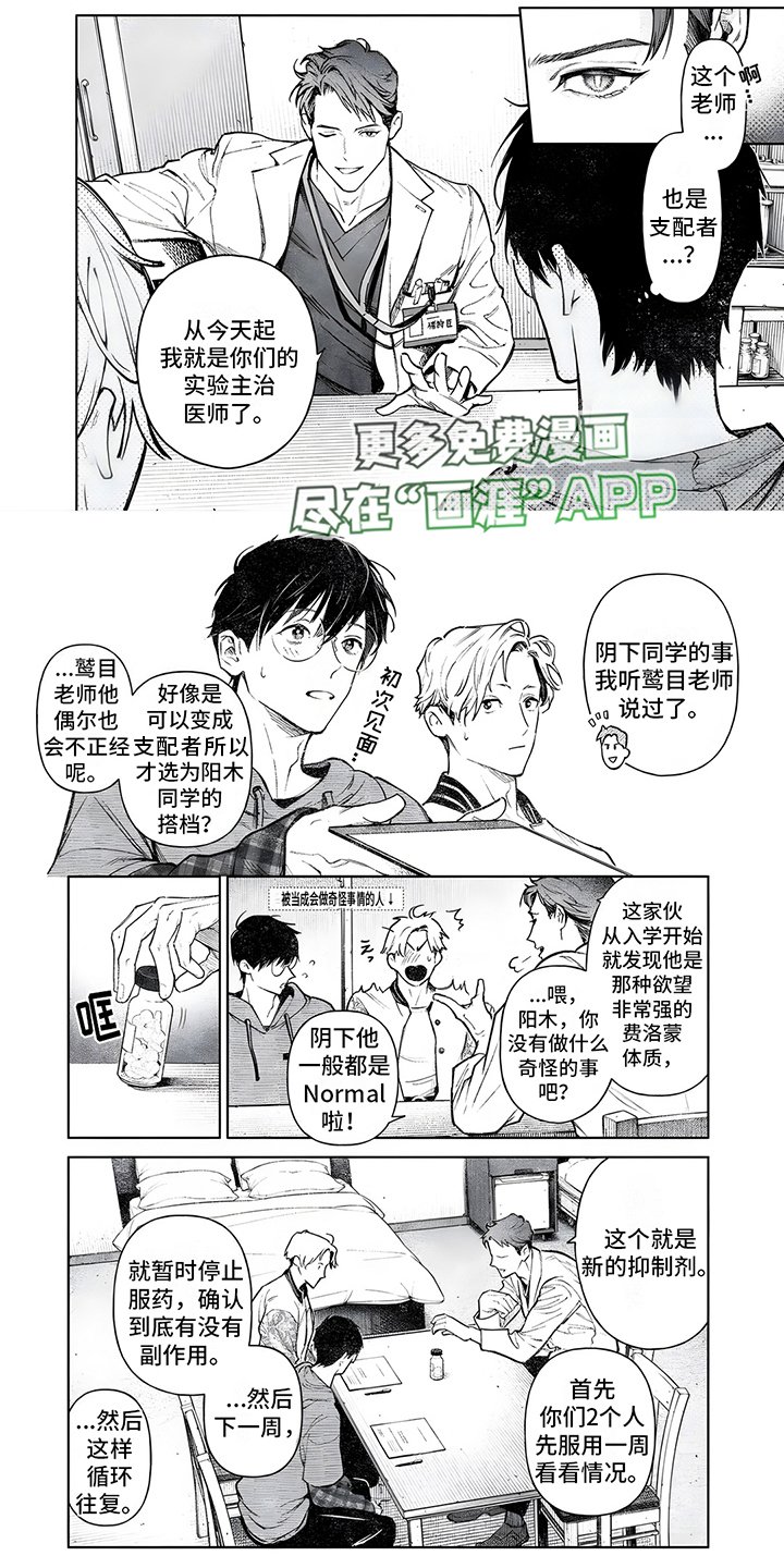 第5章：实验搭档
