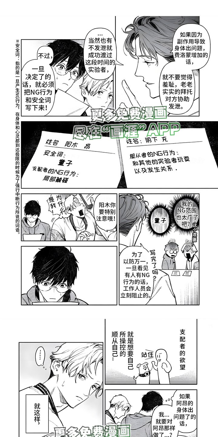 第5章：实验搭档