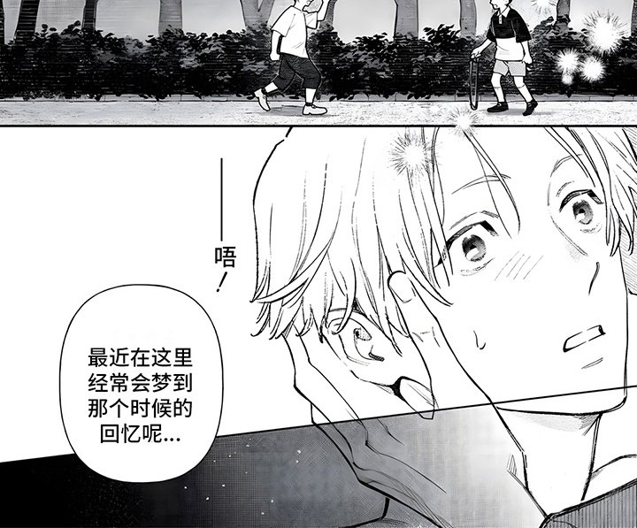 第9章：隐性类型